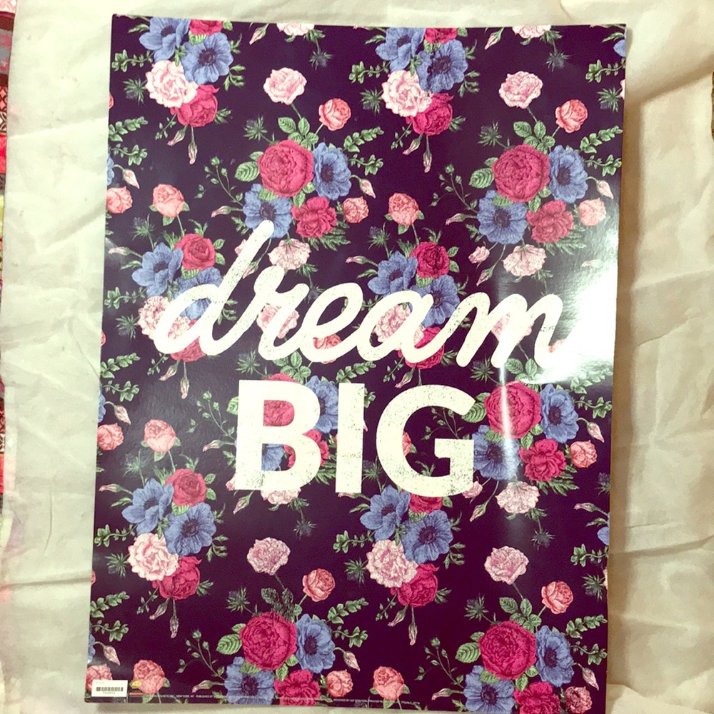 Dream Big Poster